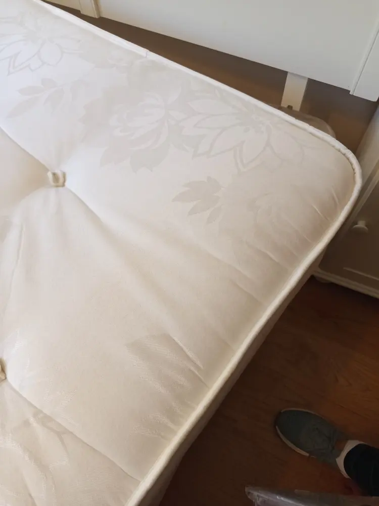 Tapicería con estampado floral limpia después del servicio